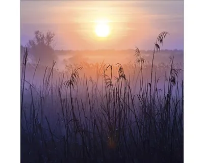 Produktbild von Glasbild Morning Atmosphere 20x20 cm