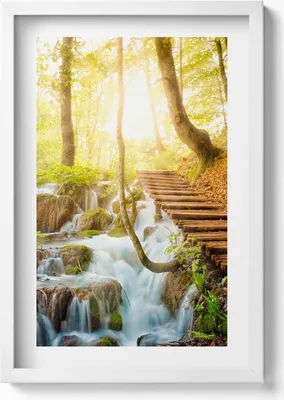 Produktbild von Bach und Treppe im Wald– Wandbild mit Rahmen – Gerahmtes Bild  – Wanddekoration – 40x60 cm – Weiß