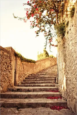 Produktbild von Wallario Poster - Steinerne Treppe in Italien, Kunstdruck Größe: 61 x 91,50 cm