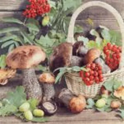 Immagine prodotto di Home Fashion® 212021 Tovaglioli da pranzo autunnali - 33 x 33 cm, 20 pezzi