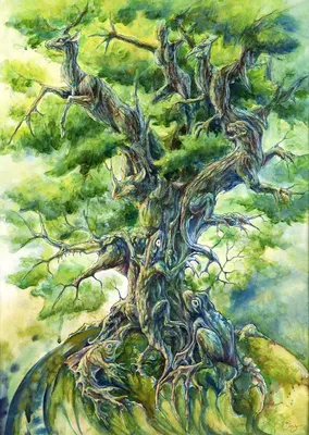 Produktbild von ENJOY Puzzle Baum des Lebens 1000 Teile