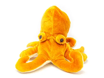 A stuffed toy octopus on a white background.