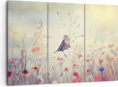 Produktbild von Bild auf Leinwand - Leinwandbild - 3 Teile - Vogel Wildschwein Wiese - 105x70cm - Wand Bild - Wanddeko - Wandbilder - Leinwanddruck - Bilder - Wanddekoration - Leinwand bilder - CE105x70-4279