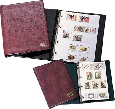 Produktbild von SAFE 540-5 Taschen-Einsteckbuch DIN A5 schwarz