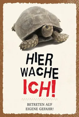 Produktbild von vianmo Holzschild 18x12 cm Spruchkröte hier wache eigene Gefahr