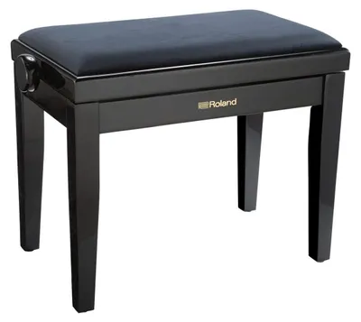 Immagine prodotto di Roland RPB-220BK, Panca da pianoforte, Pianoforte, Nero, Seduta imbottita, Nero, Nero