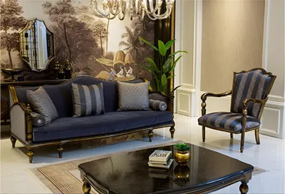 Immagine prodotto di Elegante divano con poltrona e raffinato tavolino dal design lussuoso