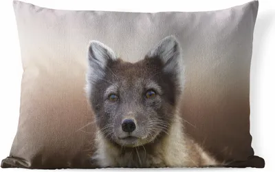 Produktbild von MuchoWow® Outdoor Kissen - Fuchs - Porträt - Braun - 60x40 cm - Wetterfest - Lounge Kissen - Zierkissen - Kissen für Innenräume