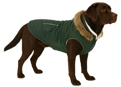 Produktbild von Flamingo Hundemantel Winter – Kimo Grün – XL 55cm – warm & modisch – Polyester –