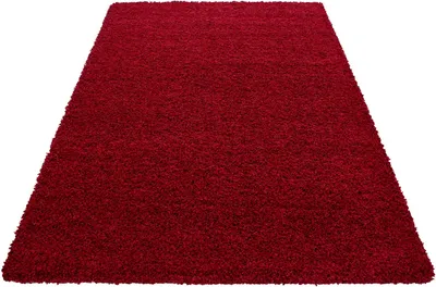 Image de Life Shaggy tapis poils longs rectangle 300x400cm rouge