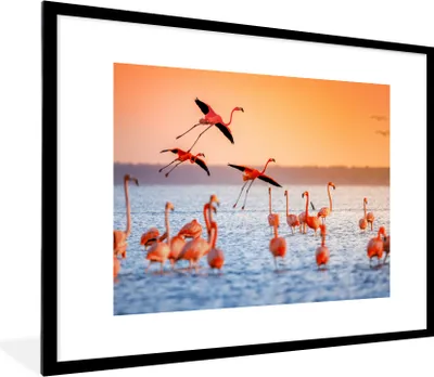 Produktbild von MuchoWow® Gerahmtes Poster Vogel - Flamingo - Wasser - Sonnenuntergang - Rosa 80x60 cm - Poster mit Schwarzem Bilderrahmen Wandposter Rahmen Foto Bilder - Schlafzimmer-Dekorationen - Fotoposter