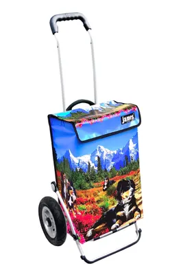 Produktbild von James Einkaufstrolley - SENNI - stabiler Einkaufswagen mit individuellem Design - einfarbig: blau in Ausführung: Royal-Leichtraeder
