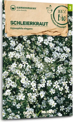 Produktbild von Schleierkraut einfach - Saatgut für zirka 50 Pflanzen