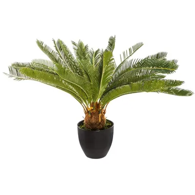Zdjęcie produktu dla Sztuczny kwiat - palma cykas w doniczce, sagowiec, 72 cm