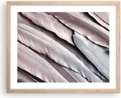 Produktbild von Gerahmtes Poster - Rahmen in heller Eiche - Federn Flügel Feder - 50x40 cm - Wand Bild - Wanddeko - Wandbilder - Kunstposter - Wandposter - Bilderrahmen - Bilder - Kunstdruck - P2NAA50x40-5114