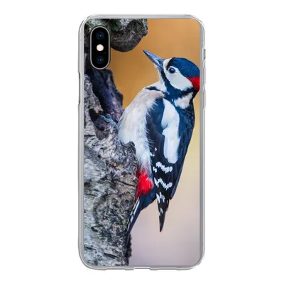 Produktbild von MuchoWow® Handyhülle Schutzhülle Hülle für iPhone Xs Nahaufnahme eines Buntspechts auf einem Baumstamm Silikon Softcase Handy Hülle - Handytasche