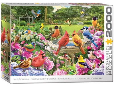 Immagine prodotto di Eurographics Puzzle Gartenvögel Treffen, 2000 Teile, 68 x 97 cm, 8220-6134