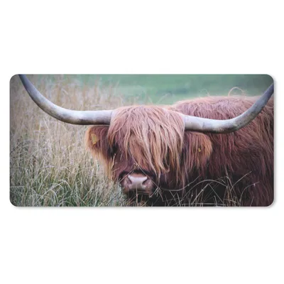 Produktbild von MuchoWow® Mauspad Mousepad Schottischer Highlander - Hörner - Gras 60x30 cm - Mousepads - Maus Mat - Pad - Mausunterlage - Nachhaltig