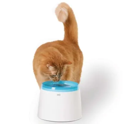 Produktbild von CATIT Fresh+Clear Trinkbrunnen 2L - Blau