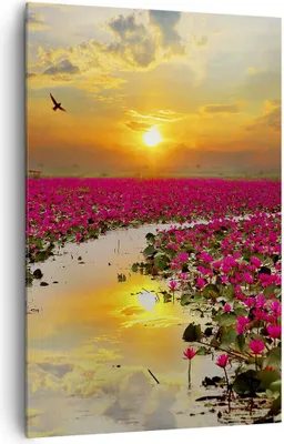 Produktbild von Bild auf Leinwand - Leinwandbild - Einteilig - See Blumen - 80x120cm - Wand Bild - Wanddeko - Wandbilder - Leinwanddruck - Kunstdruck - Wanddekoration - Leinwand bilder - Wandbild - PA80x120-3769