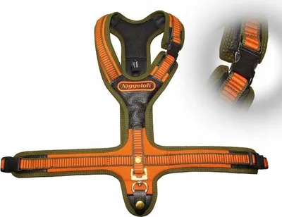 Image de Niggeloh harnais de chien Follow 3 L orange/olive
