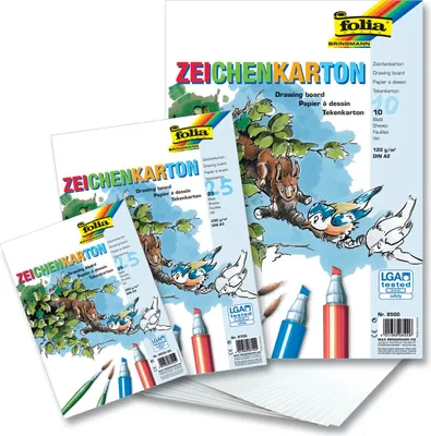 Produktbild von Folia Zeichenkarton 120 g/m², DIN A4, 25 Blatt, weiß (1 Stück)