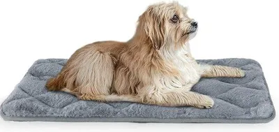 Image de Couverture pour chien, coussin pour chien, lavable, antidérapant, tapis pour chien, lit pour chien (petits, moyens et grands chiens), couverture, tapis de repos, coussin pour chat, gris, 61 x 45 cm