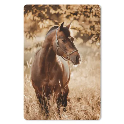 Produktbild von MuchoWow® Mauspad Mousepad Pferd - Sonne - Porträt - Natur - Braun 18x27 cm - Mousepads - Maus Mat - Pad - Mausunterlage