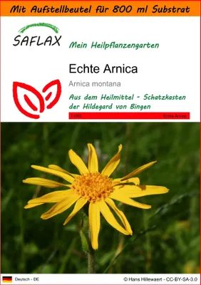 Produktbild von SAFLAX - Garden in the Bag - Heilpflanzen - Echte Arnica - 40 Samen - Mit Anzuchtsubstrat im praktischen, selbst aufstellenden Beutel - Arnica montana