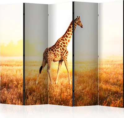 Produktbild von Akusticher Raumteiler Giraffe Foto Paravent 225x172 cm beidseitig auf Vlies-Leinwand bedruckt Akustikschaum Trennwand Spanische Wand Sichtschutz Home Office Abstrakt Tiere Afrika g-C-0178-z-c