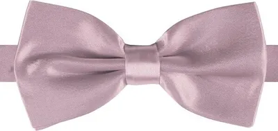 Produktbild von Fliege Deluxe Silber Karneval Fasching
