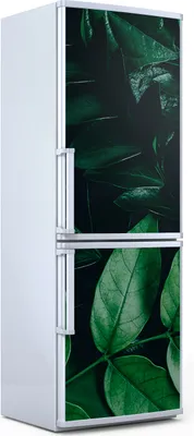 Produktbild von Magnete Dekorative - 70 cm x 190 cm - Küche - Magnetmatte Kühlschrankmagnete - Grüne Blätter