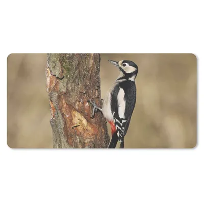 Produktbild von MuchoWow® Schreibtischunterlage Ein Buntspecht im Herbst 80x40 cm - XXL Mauspad - Gaming Mauspad