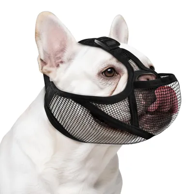 Image de Museau réglable pour bouledogues français, avec des ouvertures pour les yeux
