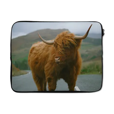 Produktbild von MuchoWow® Laptop Hülle 17 Zoll Laptoptasche Schottischer Highlander - Berg - Straße - Zipper - Schutzabdeckung