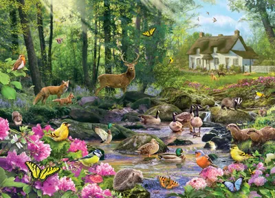 Image de Gibsons Puzzle Woodland Glade - 1000 pièces Nature Puzzle