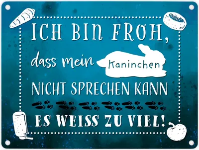 Produktbild von Mein Kaninchen weiß zu viel Metallschild in 15x20 cm mit lustigem Spruch
