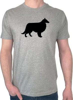 Produktbild von Huuraa Herren T-Shirt Collie Sheltie Silhouette XL Sport Grey Bio Baumwolle Fairtrade Herrenshirt Geschenkidee