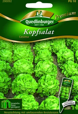 Produktbild von Kopfsalat, Cosima