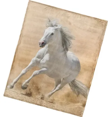 Zdjęcie produktu dla Mikropolarowy koc Koń Bělouš 130x160 cm