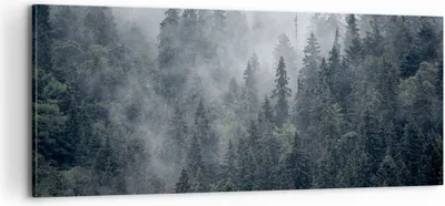 Produktbild von Bild auf Leinwand - Leinwandbild - Wald Baum Natur - 100x40cm - Wand Bild - Wanddeko - Wandbilder - Leinwanddruck - Bilder - Kunstdruck - Wanddekoration - Leinwand bilder - Wandkunst - AB100x40-4074