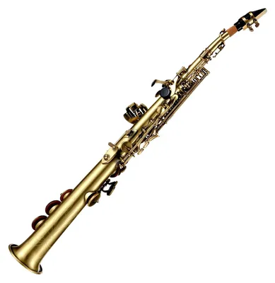 Productafbeelding van Professionele Messing Saxofoon met Draagtas