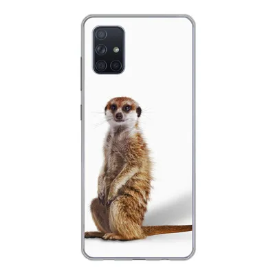 Produktbild von MuchoWow® Handyhülle Schutzhülle Hülle für Samsung Galaxy A71 Erdmännchen - Tiere - Fell Silikon Softcase Handy Hülle - Kartenbesitzer