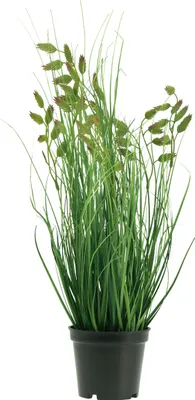 Produktbild von Zittergras Kunstgras grün Blumenarrangement 36cm Dekoration