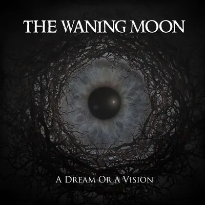 Produktbild von A Dream Or A Vision