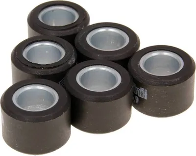 Immagine prodotto di Pesi Variomatic Polini 17x12mm - 11,0g