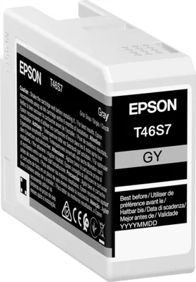 Produktbild von Epson Tintenpatrone gray T 46S7 25 ml Ultrachrome Pro 10