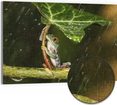 Produktbild von DEQORI Hybrid Leinwand Bild 90x60 cm 'Regenwaldjuwel' Wandbild Glas flach modern
