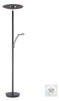 Produktbild von PAUL NEUHAUS LED-Stehleuchte anthrazit, dimmbar, Farbtemperatur-Speicherfunktion 2700-5000K, Artikelnummer 673-13