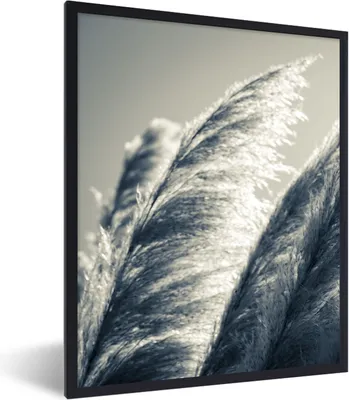 Produktbild von MuchoWow® Gerahmtes Poster Pampasgras - Schwarz - Weiß - Natur 60x80 cm - Poster mit Schwarzem Bilderrahmen Wandposter Rahmen Foto Bilder - Premium - Wanddeko Wohnzimmer